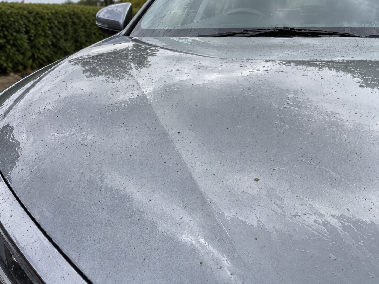 Before Paint care & protection
